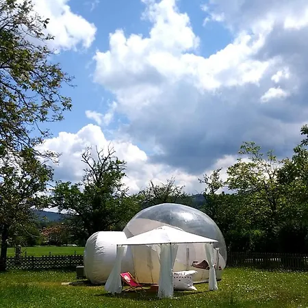 Bubble Tent Campo de lujo *