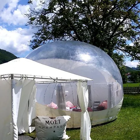 Bubble Tent Campo de lujo *