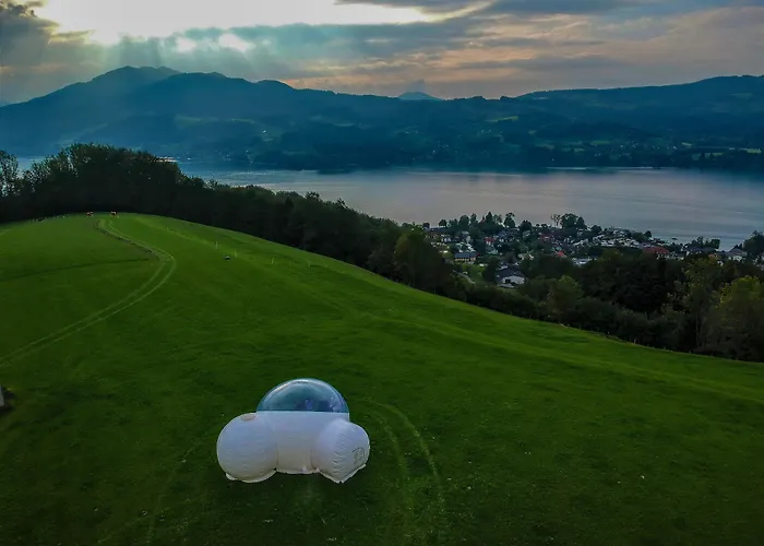 Bubble Tent Campo de lujo *